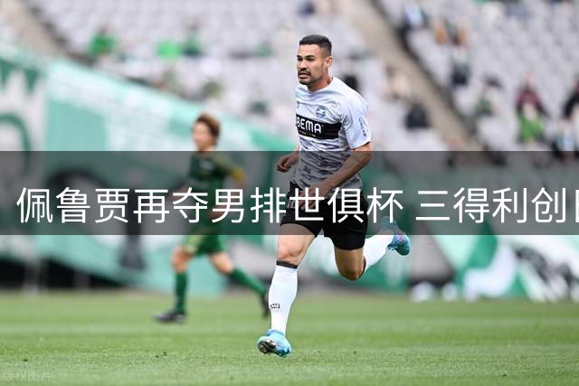 佩鲁贾再夺男排世俱杯 三得利创日本球队历史